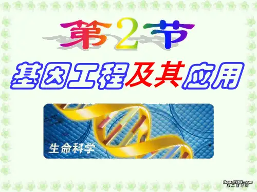 第6章第2节基因工程及其应用-38页PPT资料