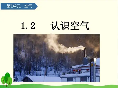 一年级下册科学课件：2认识空气 青岛版(六年制)(共13张PPT)