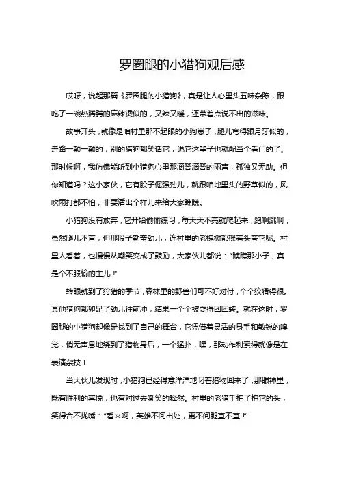 罗圈腿的小猎狗观后感