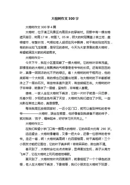 大榕树作文300字4篇