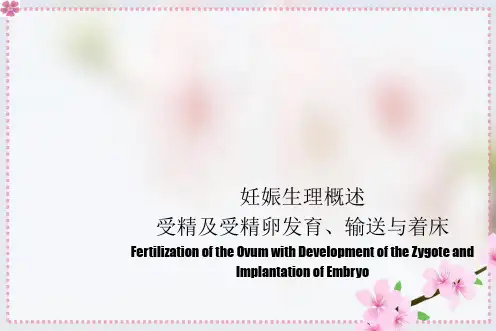 妊娠生理概述受精及受精卵发育、输送与着床