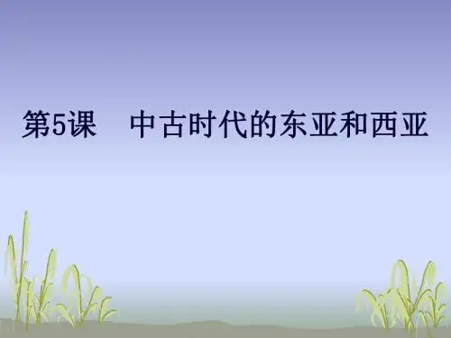 《中古时代的东亚和西亚》 课件1