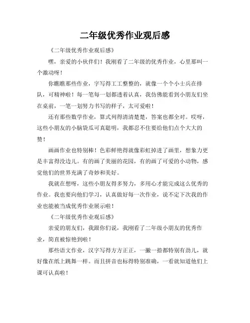 二年级优秀作业观后感