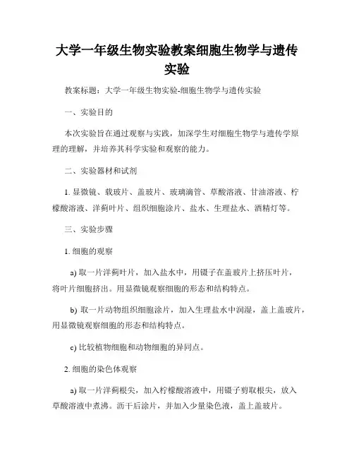 大学一年级生物实验教案细胞生物学与遗传实验