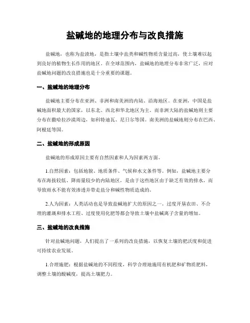 盐碱地的地理分布与改良措施
