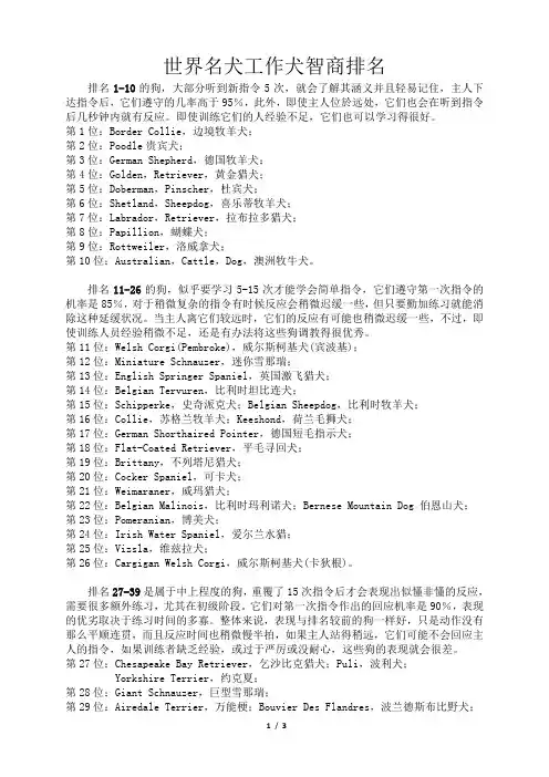 世界名犬工作犬智商排名