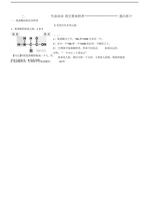生命活动的主要承担者—蛋白质知识点总结
