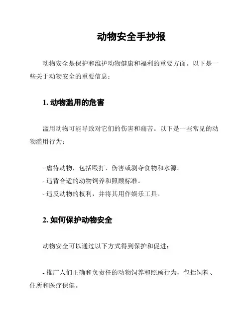 动物安全手抄报