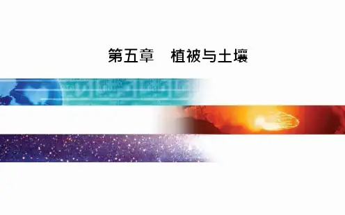 41_人教版新教材第二节土壤实用ppt课件