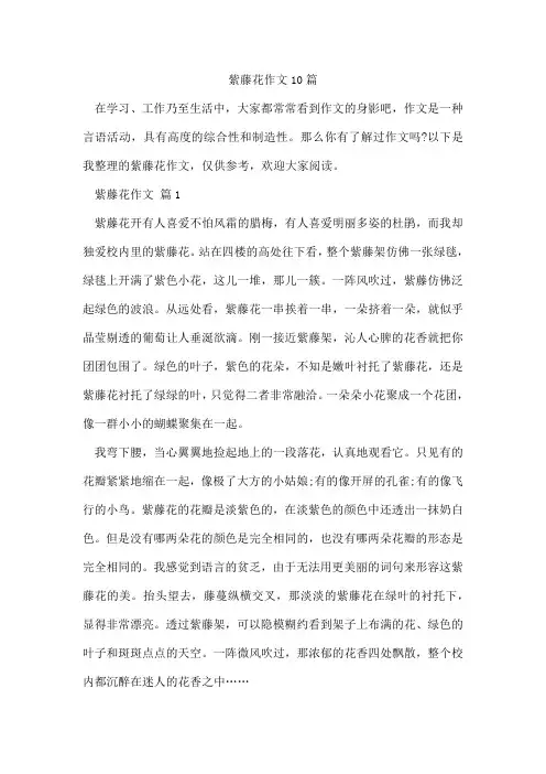 紫藤花作文10篇