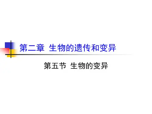 生物的变异说课稿35486ppt课件
