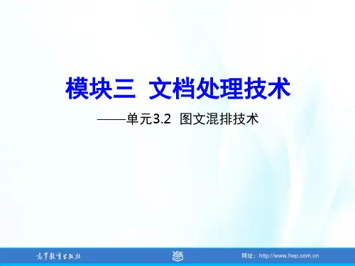 高教社(肖珑)信息技术基础教学课件单元3