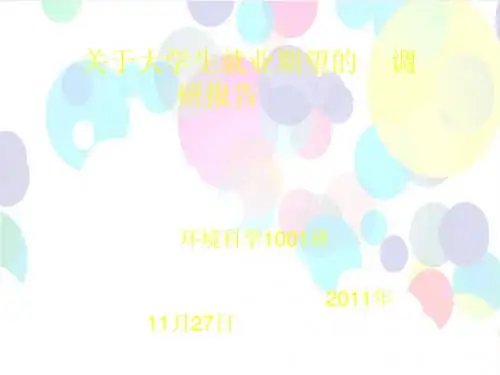 关于大学生就业期望的调研报告03版ppt
