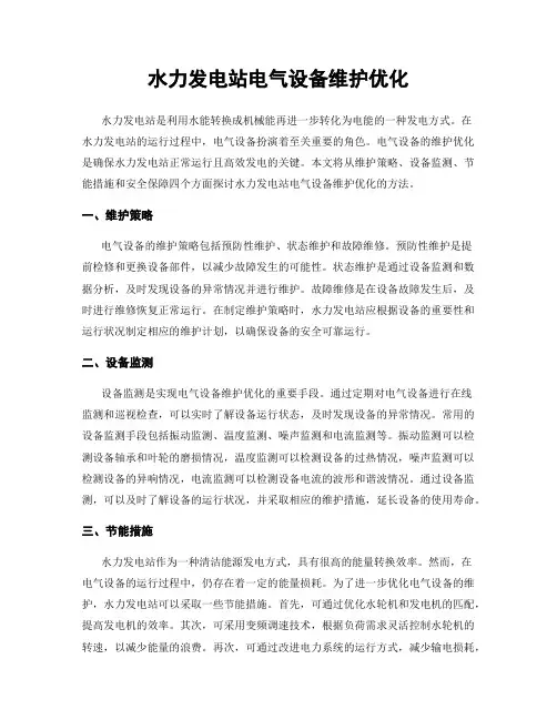 水力发电站电气设备维护优化