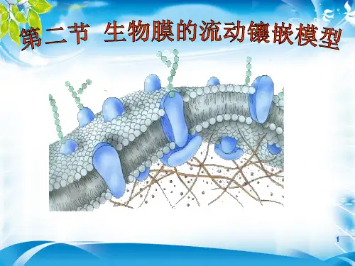 人教生物必修1第4章第2节 生物膜的流动镶嵌模型(共30张PPT)[优秀课件资料]