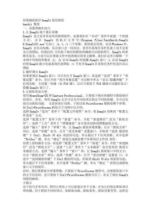 屏幕捕捉程序SnagIt使用教程