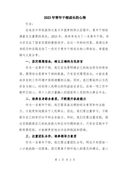 2023年青年干部成长的心得