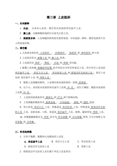 第一节 上皮组织练习题