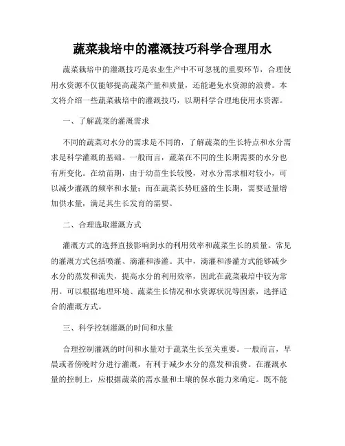 蔬菜栽培中的灌溉技巧科学合理用水