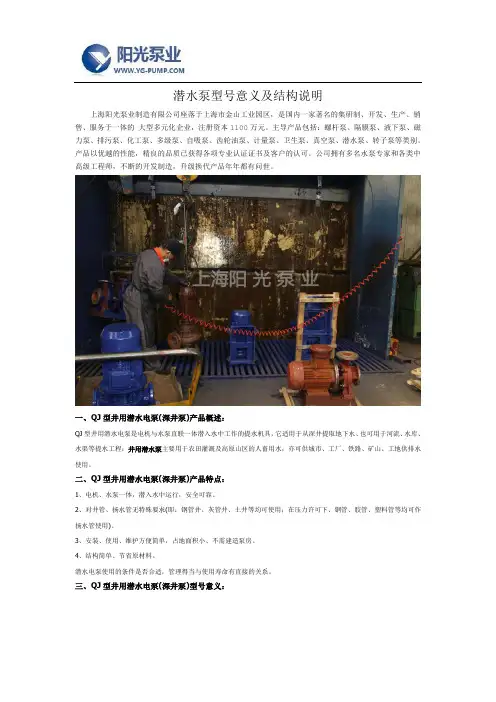 潜水泵型号意义及结构说明