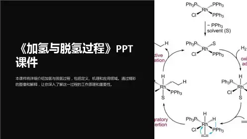 《加氢与脱氢过程》课件