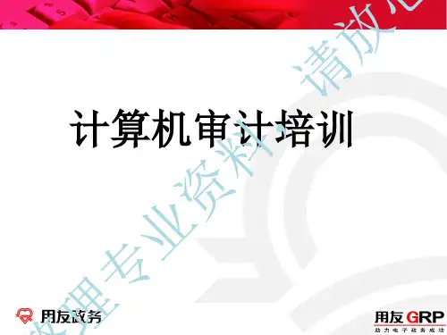 计算机审计培训