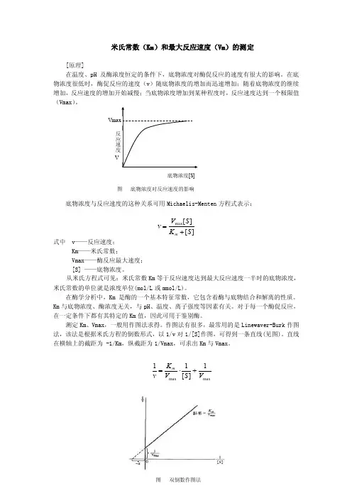 实验四米氏常数（Km）和最大反应速度（Vm）的测定