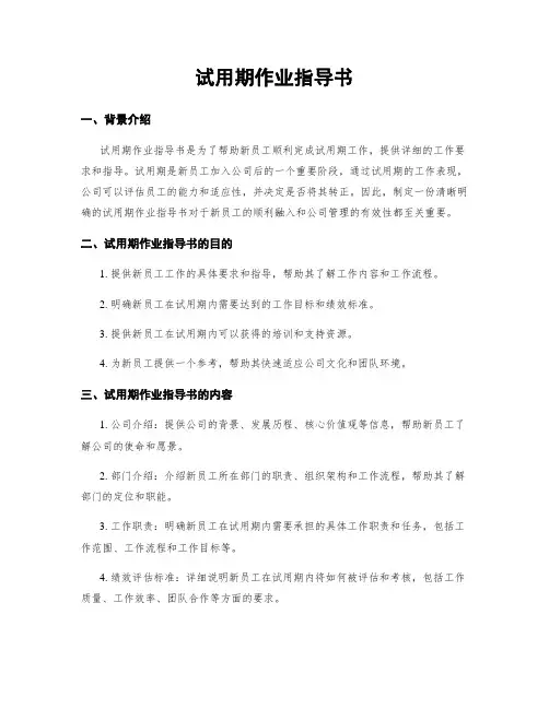 试用期作业指导书