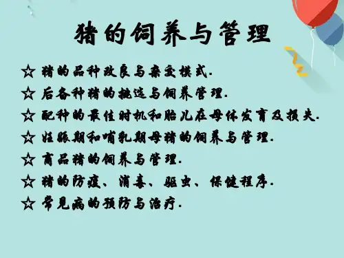 猪的品种改良与杂交模式PPT优选版