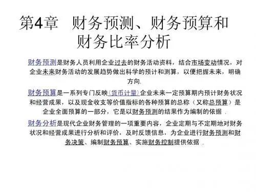 第4章 财务预测