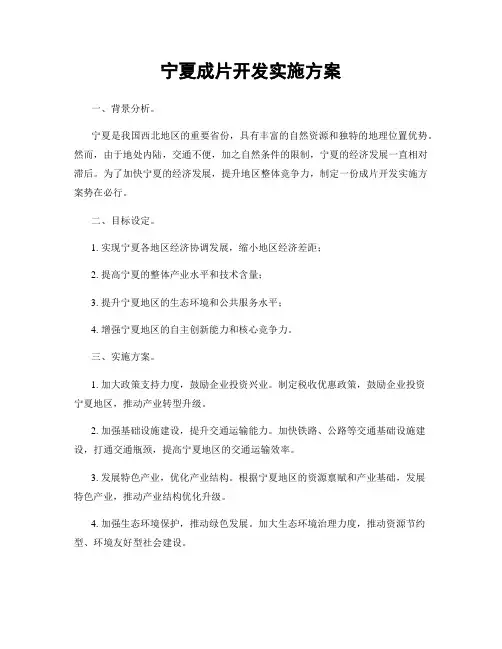 宁夏成片开发实施方案