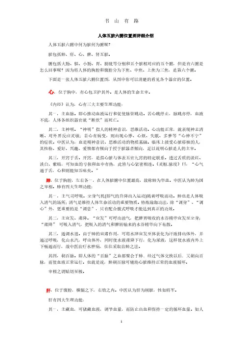 人体五脏六腑位置图详细介绍PDF.pdf