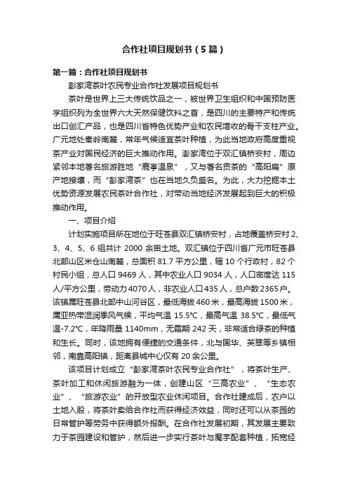 合作社项目规划书（5篇）