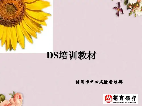 征信流程培训教材(ppt 28页)