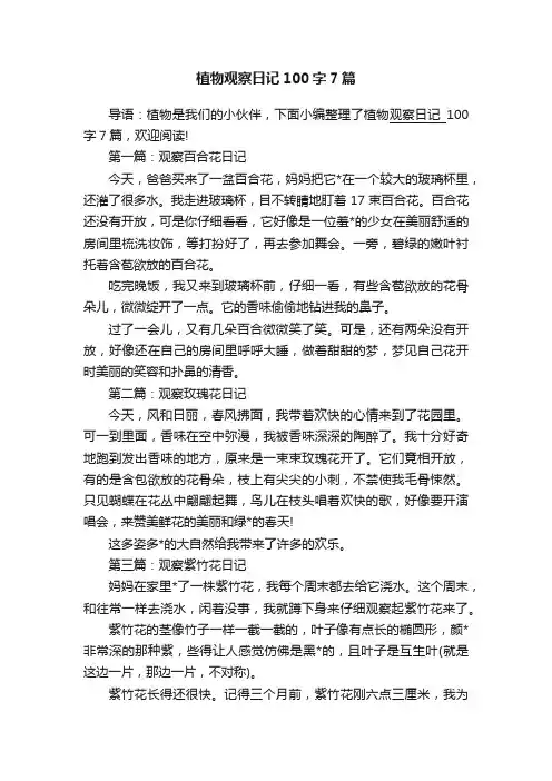 植物观察日记100字7篇