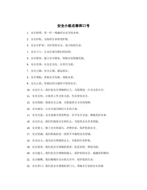 安全小组名称和口号