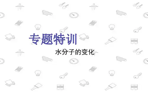 中考化学专题特训-水分子的变化