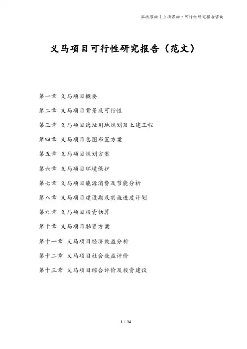 义马项目可行性研究报告(范文)