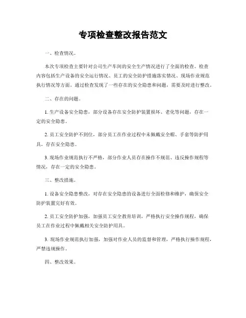 专项检查整改报告范文