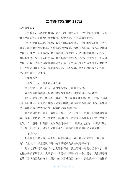 二年级作文(精选15篇)