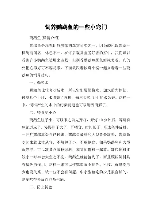 饲养鹦鹉鱼的一些小窍门