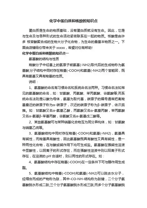 化学中蛋白质和核酸的知识点