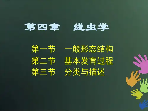 04线虫学1
