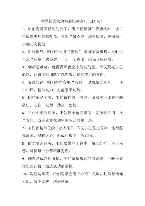 领导超喜欢的精彩比喻金句(24句)