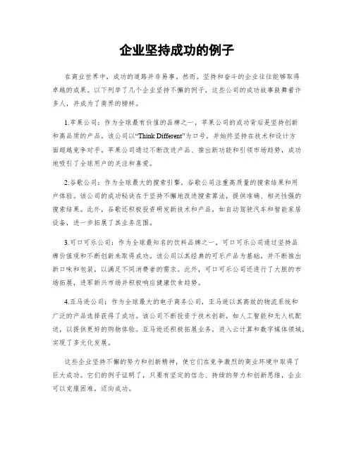 企业坚持成功的例子