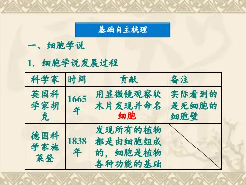 细胞概述-细胞膜和细胞壁(必修)PPT课件