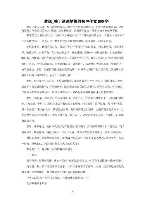 梦想_论述梦想的初中作文800字范文精选