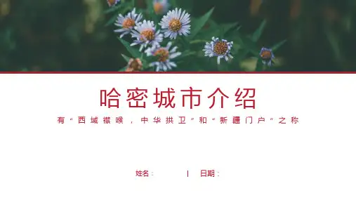 哈密介绍-哈密简介PPT(经典版)