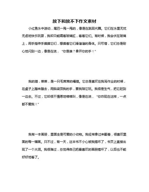 放下和放不下作文素材