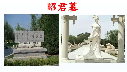 5.2《咏怀古迹(其三)+》课件22张+2022-2023学年人教版高中语文必修三